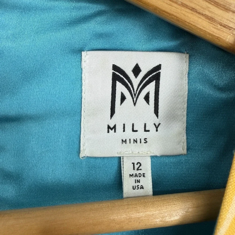 Milly Minis‎ Dress Girls Sz 12 Floral Lined Spring Multicolor Italian Fabric USA